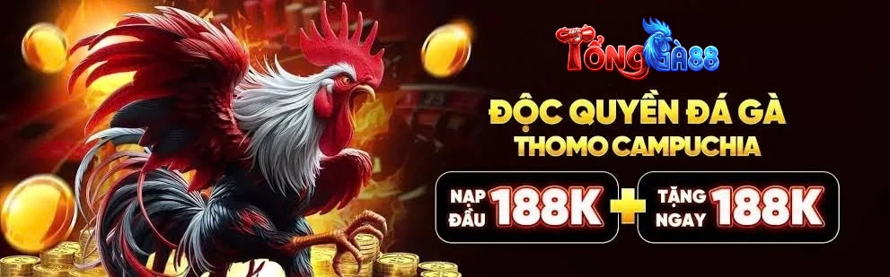 Theo dõi Tổng Gà 88 với các trận chọi kê được cập nhật trực tiếp