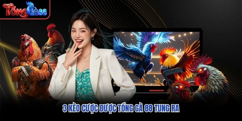 3 kèo cược được Tổng Gà 88 tung ra