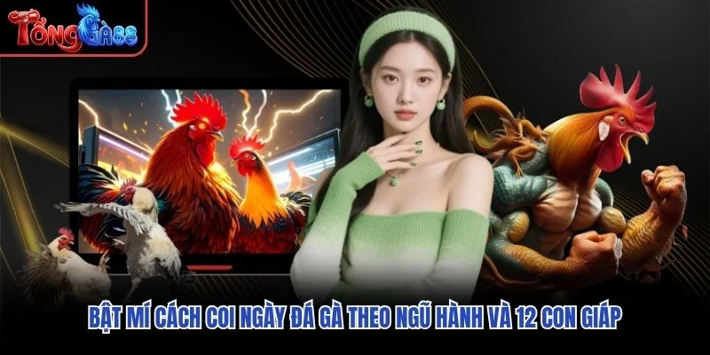 Bật mí cách coi ngày đá gà theo ngũ hành và 12 con giáp