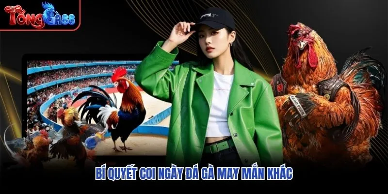 Bí quyết coi ngày đá gà may mắn khác Bí quyết coi ngày đá gà may mắn khác