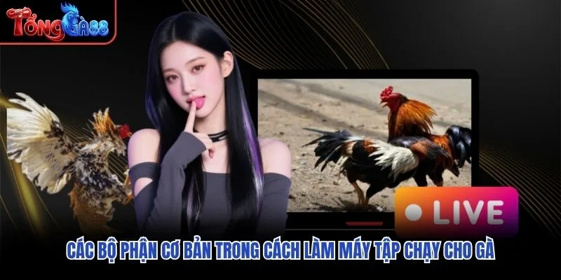 Các bộ phận cơ bản trong cách làm máy tập chạy cho gà Các bộ phận cơ bản trong cách làm máy tập chạy cho gà