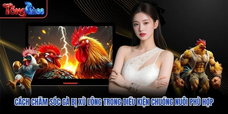 Cách chăm sóc gà bị xù lông trong điều kiện chuồng nuôi phù hợp Cách chăm sóc gà bị xù lông trong điều kiện chuồng nuôi phù hợp