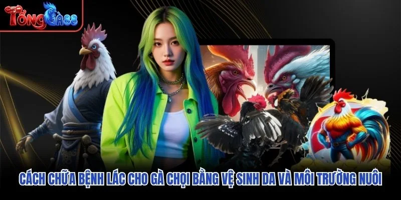 Cách chữa bệnh lác cho gà chọi bằng vệ sinh da và môi trường nuôi