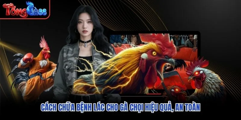 Cách Chữa Bệnh Lác Cho Gà Chọi Hiệu Quả, An Toàn
