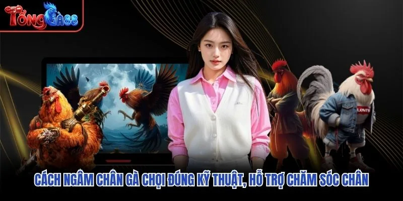 Cách Ngâm Chân Gà Chọi Đúng Kỹ Thuật, Hỗ Trợ Chăm Sóc Chân
