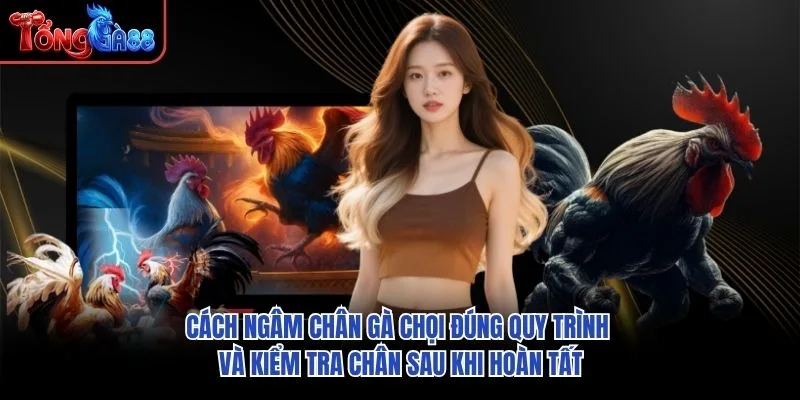 Cách ngâm chân gà chọi đúng quy trình và kiểm tra chân sau khi hoàn tất