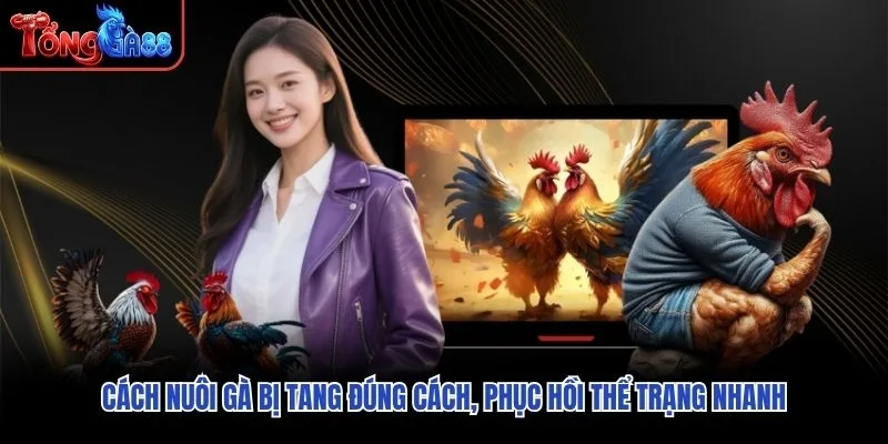Cách Nuôi Gà Bị Tang Đúng Cách, Phục Hồi Thể Trạng Nhanh