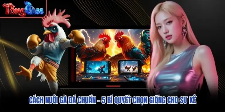 Cách Nuôi Gà Đá Chuẩn - 5 Bí Quyết Chọn Giống Cho Sư Kê