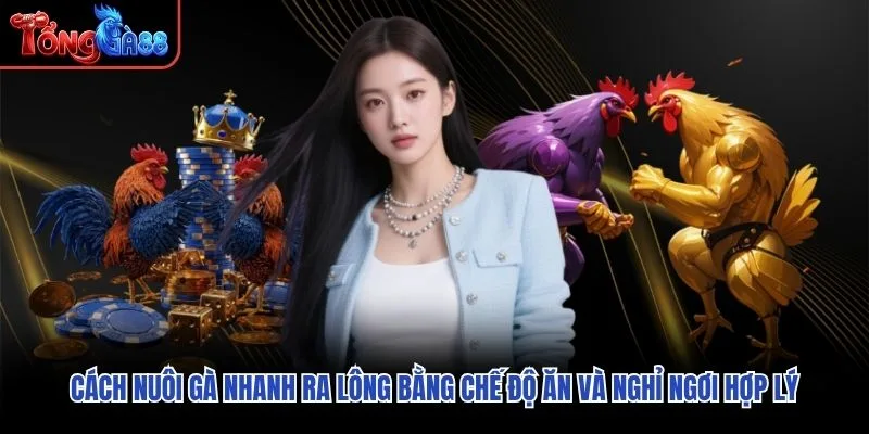 Cách nuôi gà nhanh ra lông bằng chế độ ăn và nghỉ ngơi hợp lý