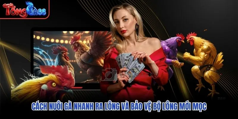 Cách nuôi gà nhanh ra lông và bảo vệ bộ lông mới mọc Cách nuôi gà nhanh ra lông và bảo vệ bộ lông mới mọc