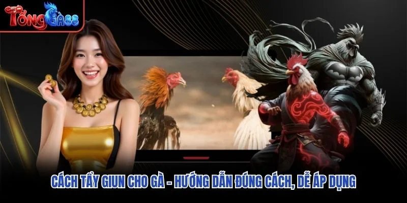 Cách Tẩy Giun Cho Gà – Hướng Dẫn Đúng Cách, Dễ Áp Dụng