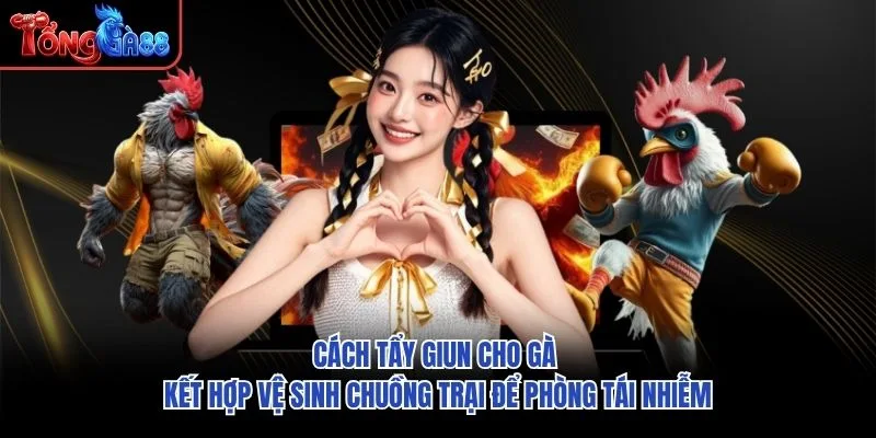 Cách tẩy giun cho gà kết hợp vệ sinh chuồng trại để phòng tái nhiễm Cách tẩy giun cho gà kết hợp vệ sinh chuồng trại để phòng tái nhiễm