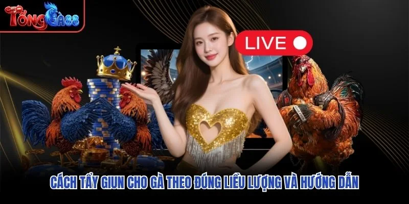 Cách tẩy giun cho gà&nbsp;theo đúng liều lượng và hướng dẫn