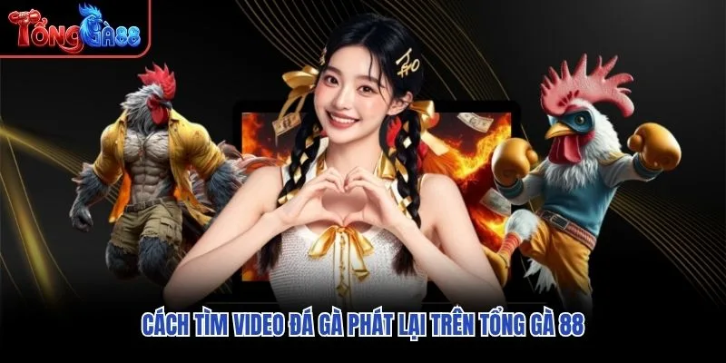 Cách tìm video đá gà phát lại trên Tổng Gà 88 Cách tìm video đá gà phát lại trên Tổng Gà 88