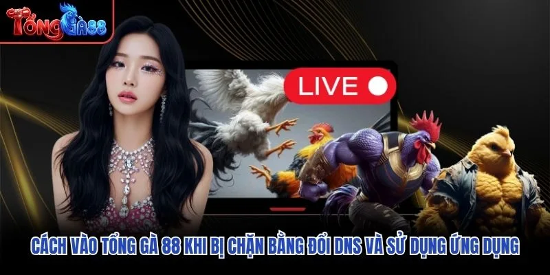 Cách vào Tổng Gà 88 khi bị chặn bằng đổi DNS và sử dụng ứng dụng