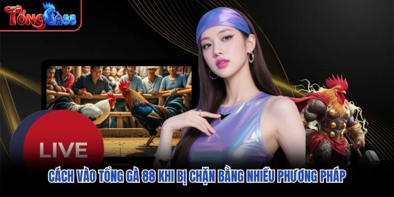 Cách vào Tổng Gà 88 khi bị chặn bằng nhiều phương pháp