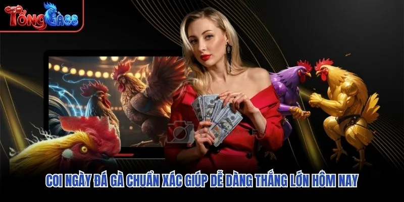 Coi Ngày Đá Gà Chuẩn Xác Giúp Dễ Dàng Thắng Lớn Hôm Nay