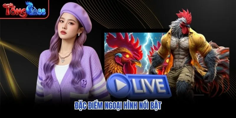 Đặc điểm ngoại hình nổi bật Đặc điểm ngoại hình nổi bật