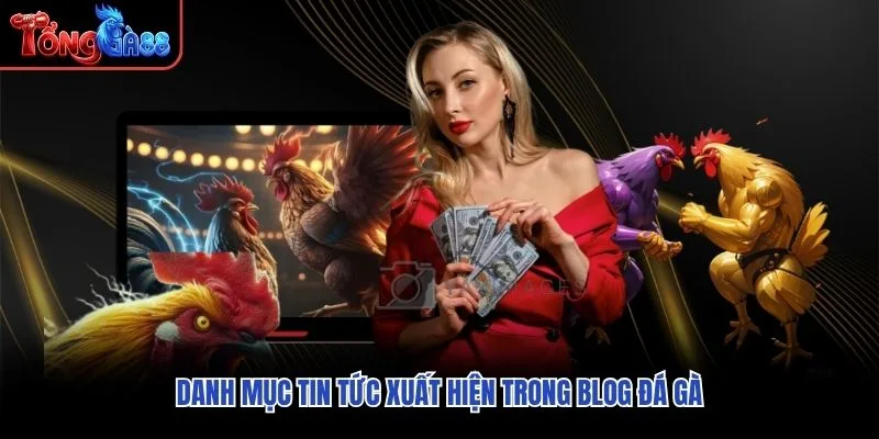 Danh mục tin tức xuất hiện trong Blog đá gà