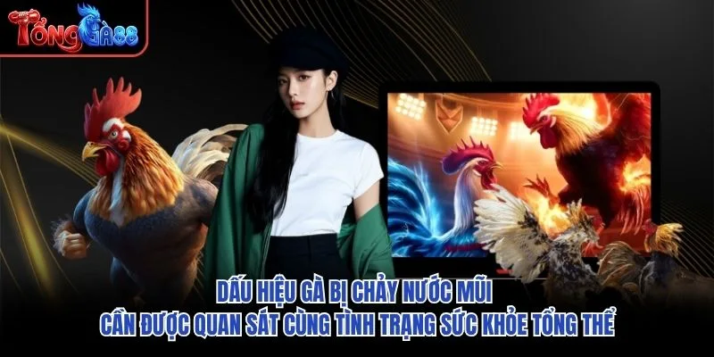 Dấu hiệu gà bị chảy nước mũi cần được quan sát cùng tình trạng sức khỏe tổng thể