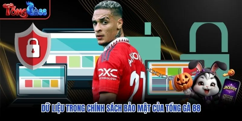 Dữ liệu trong chính sách bảo mật của Tổng Gà 88