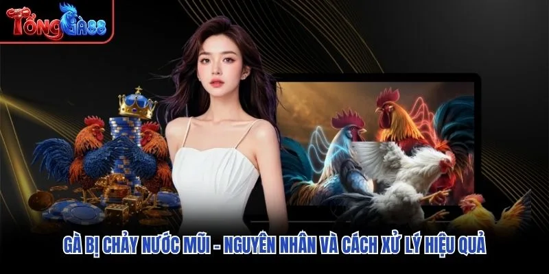 Gà Bị Chảy Nước Mũi – Nguyên Nhân Và Cách Xử Lý Hiệu Quả