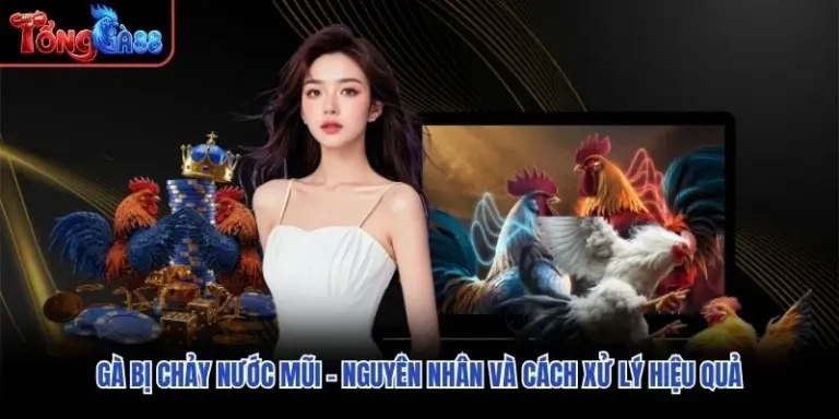 Gà Bị Chảy Nước Mũi – Nguyên Nhân Và Cách Xử Lý Hiệu Quả