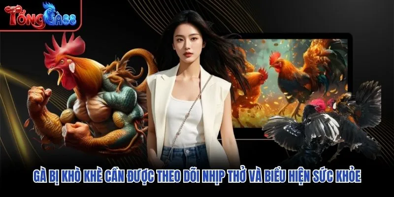 Gà bị khò khè cần được theo dõi nhịp thở và biểu hiện sức khỏe Gà bị khò khè cần được theo dõi nhịp thở và biểu hiện sức khỏe