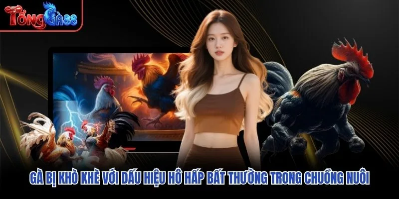 Gà bị khò khè với dấu hiệu hô hấp bất thường trong chuồng nuôi Gà bị khò khè với dấu hiệu hô hấp bất thường trong chuồng nuôi