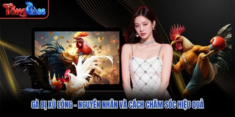 Gà Bị Xù Lông – Nguyên Nhân Và Cách Chăm Sóc Hiệu Quả