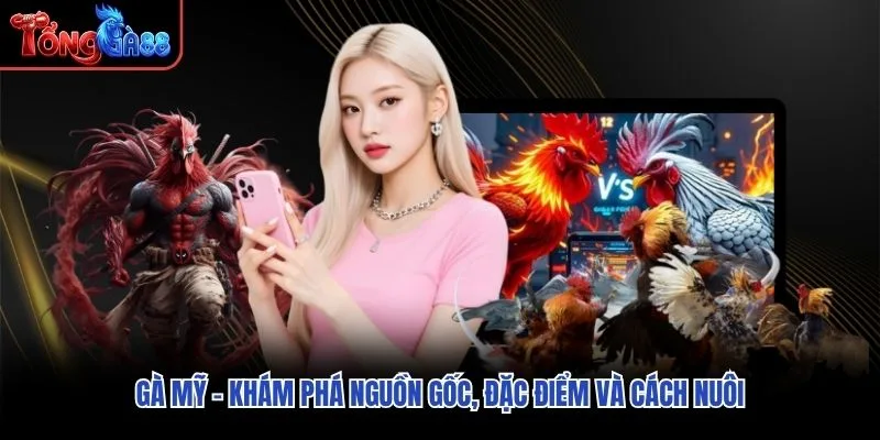 Gà Mỹ – Khám Phá Nguồn Gốc, Đặc Điểm Và Cách Nuôi