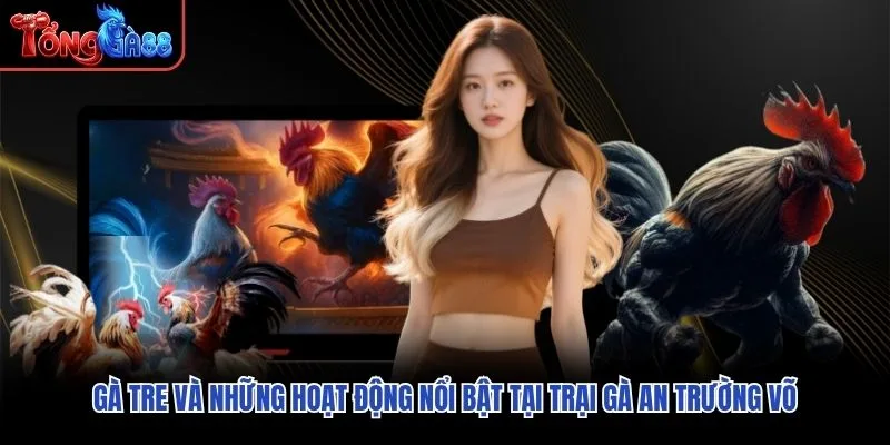 Gà tre và những hoạt động nổi bật tại trại gà An Trường Võ Gà tre và những hoạt động nổi bật tại trại gà An Trường Võ