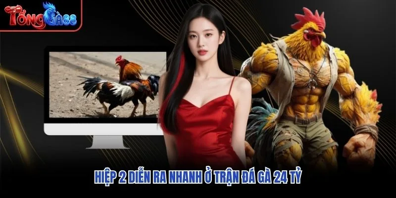 Hiệp 2 diễn ra nhanh ở trận đá gà 24 tỷ Hiệp 2 diễn ra nhanh ở trận đá gà 24 tỷ