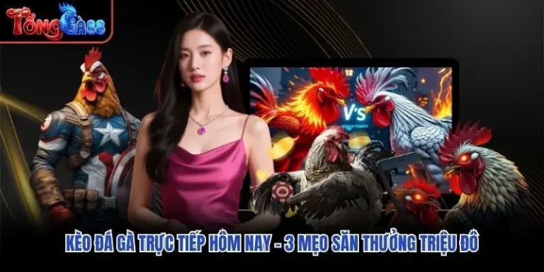 Kèo Đá Gà Trực Tiếp Hôm Nay - 3 Mẹo Săn Thưởng Triệu Đô