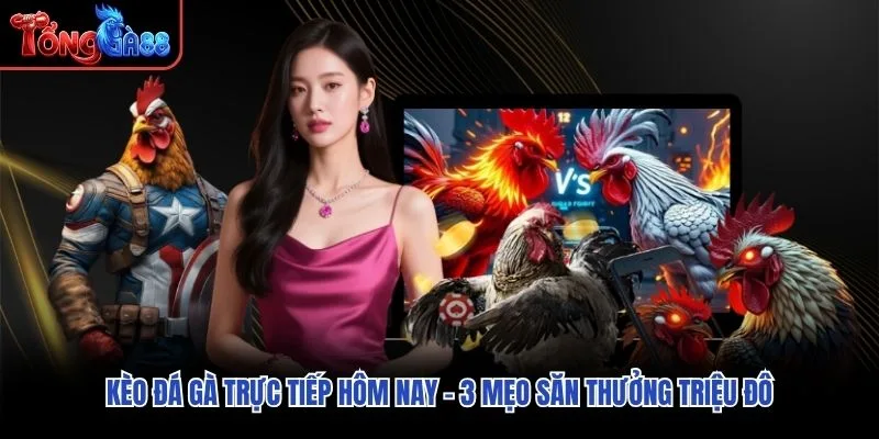 Kèo Đá Gà Trực Tiếp Hôm Nay - 3 Mẹo Săn Thưởng Triệu Đô