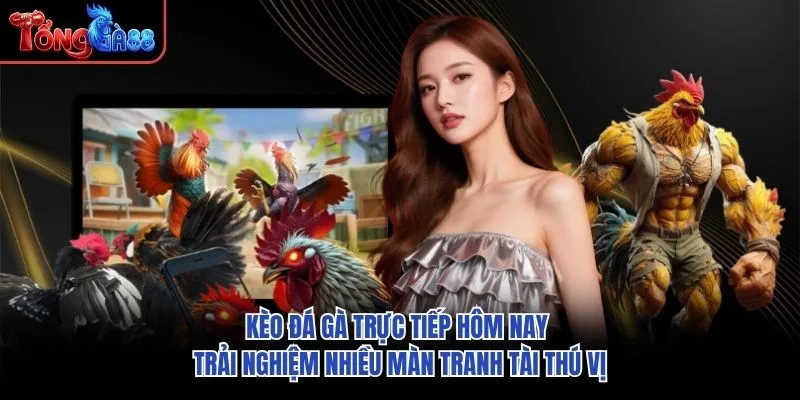 Kèo đá gà trực tiếp hôm nay trải nghiệm nhiều màn tranh tài thú vị