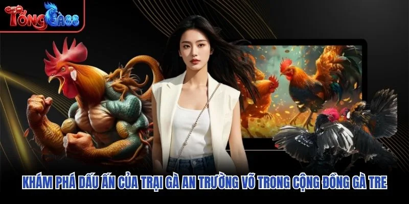 Khám phá dấu ấn của trại gà An Trường Võ trong cộng đồng gà tre Khám phá dấu ấn của trại gà An Trường Võ trong cộng đồng gà tre
