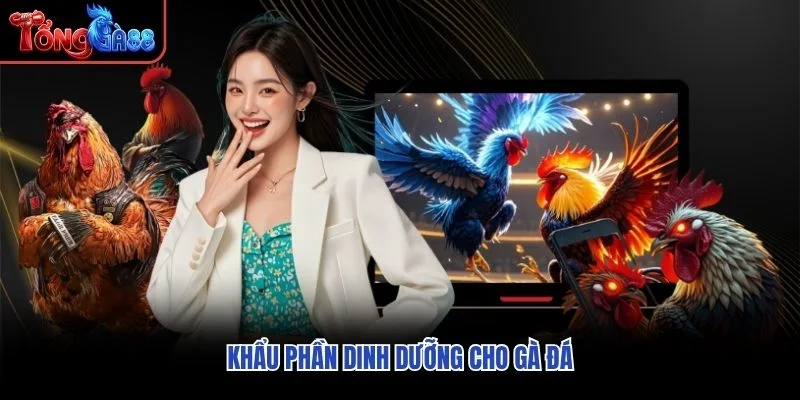 Khẩu phần dinh dưỡng cho gà đá Khẩu phần dinh dưỡng cho gà đá