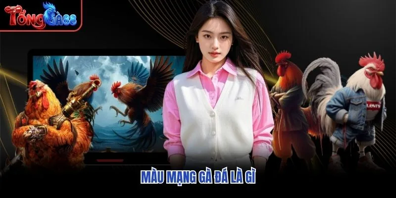 Màu mạng gà đá là gì Màu mạng gà đá là gì