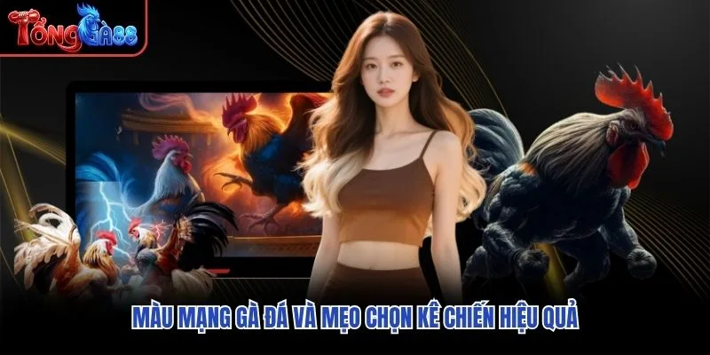 Màu mạng gà đá và mẹo chọn kê chiến hiệu quả Màu mạng gà đá và mẹo chọn kê chiến hiệu quả