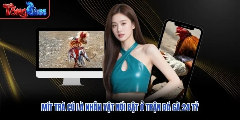 Mít Trà Cú là nhân vật nổi bật ở trận đá gà 24 tỷ Mít Trà Cú là nhân vật nổi bật ở trận đá gà 24 tỷ