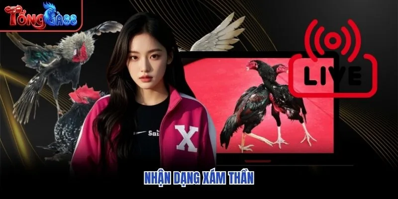 Nhận dạng Xám Thần Nhận dạng Xám Thần