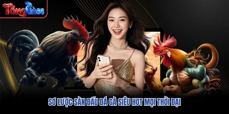 Sơ lược sàn đấu đá gà siêu hot mọi thời đại Sơ lược sàn đấu đá gà siêu hot mọi thời đại