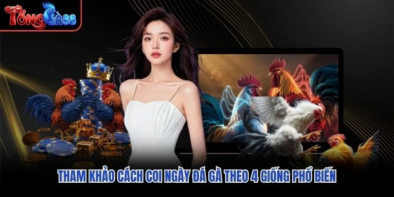 Tham khảo cách coi ngày đá gà theo 4 giống phổ biến Tham khảo cách coi ngày đá gà theo 4 giống phổ biến