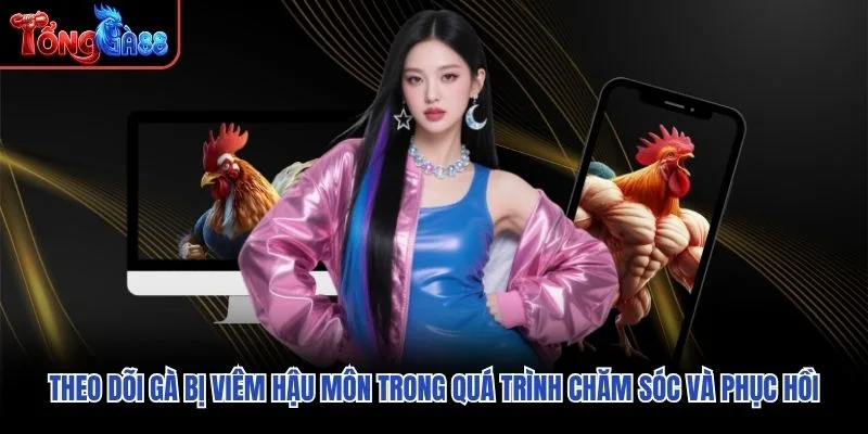 Theo dõi gà bị viêm hậu môn trong quá trình chăm sóc và phục hồi