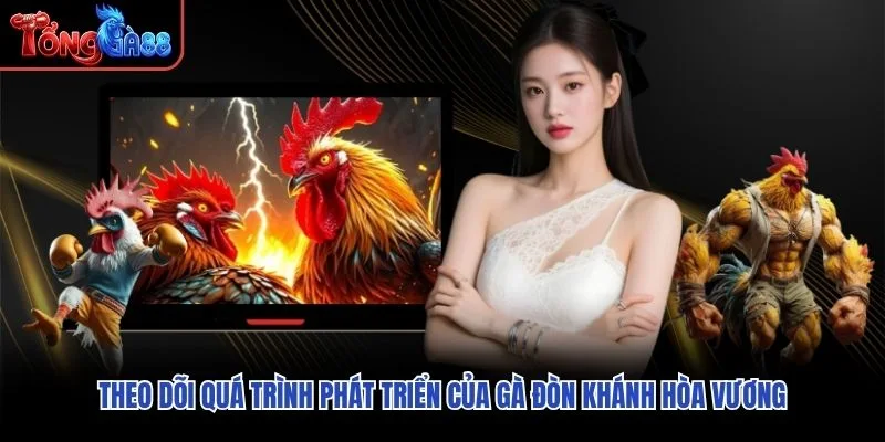 Theo dõi quá trình phát triển của Gà Đòn Khánh Hòa Vương