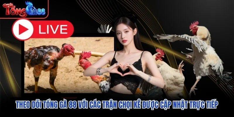 Theo dõi Tổng Gà 88 với các trận chọi kê được cập nhật trực tiếp