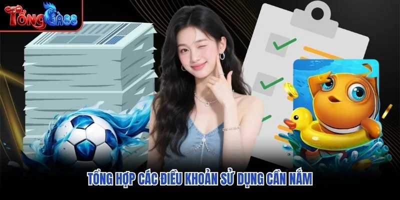 Tổng hợp các điều khoản sử dụng cần nắm Tổng hợp các điều khoản sử dụng cần nắm