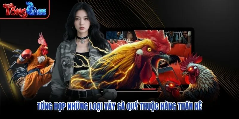 Tổng hợp những loại vảy gà quý thuộc hàng thần kê Tổng hợp những loại vảy gà quý thuộc hàng thần kê