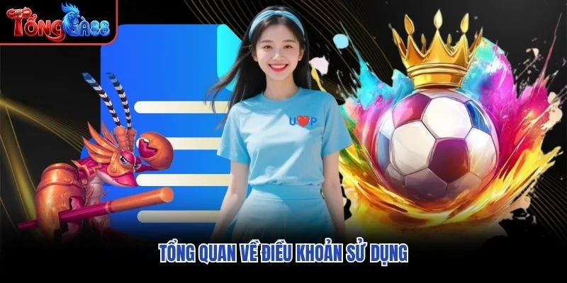 Tổng quan về điều khoản sử dụng Tổng quan về điều khoản sử dụng